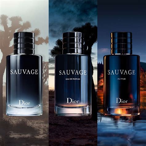 coffret sauvage dior pas cher|sauvage Dior for men.